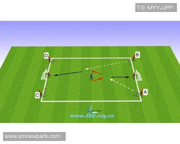 西安篮球队的战术节奏分析与未来发展展望